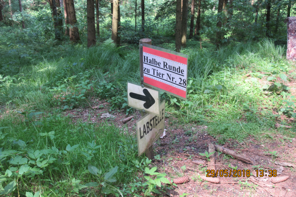 Bad Zell (37)