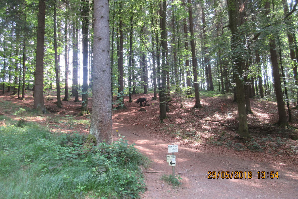 Bad Zell (39)