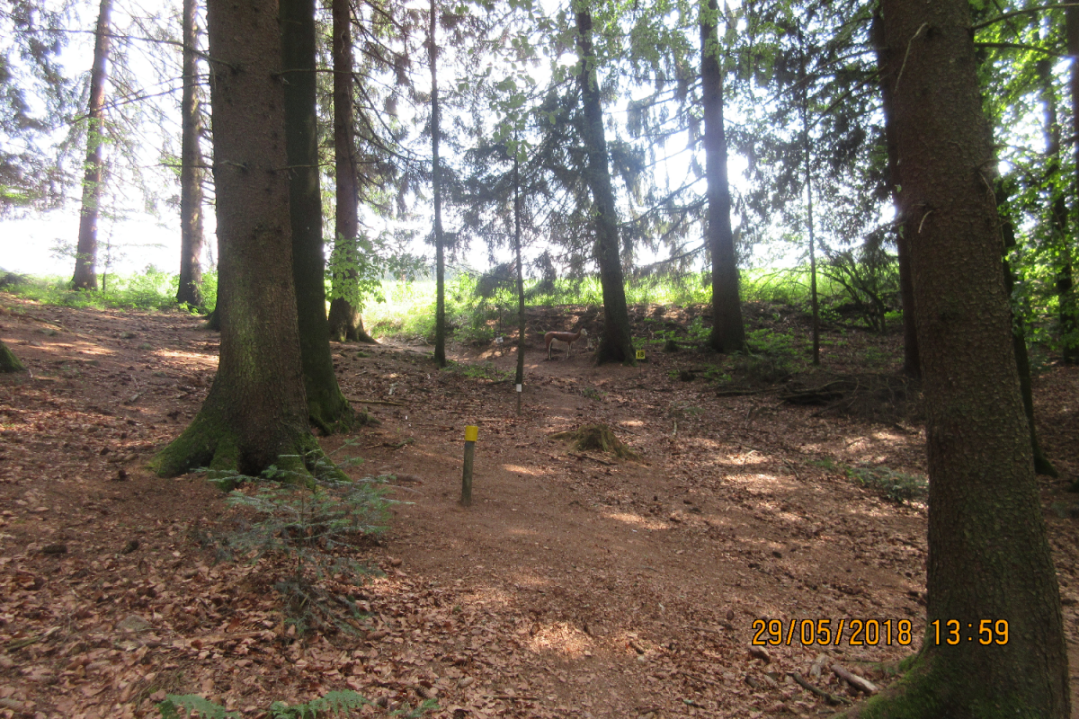 Bad Zell (41)