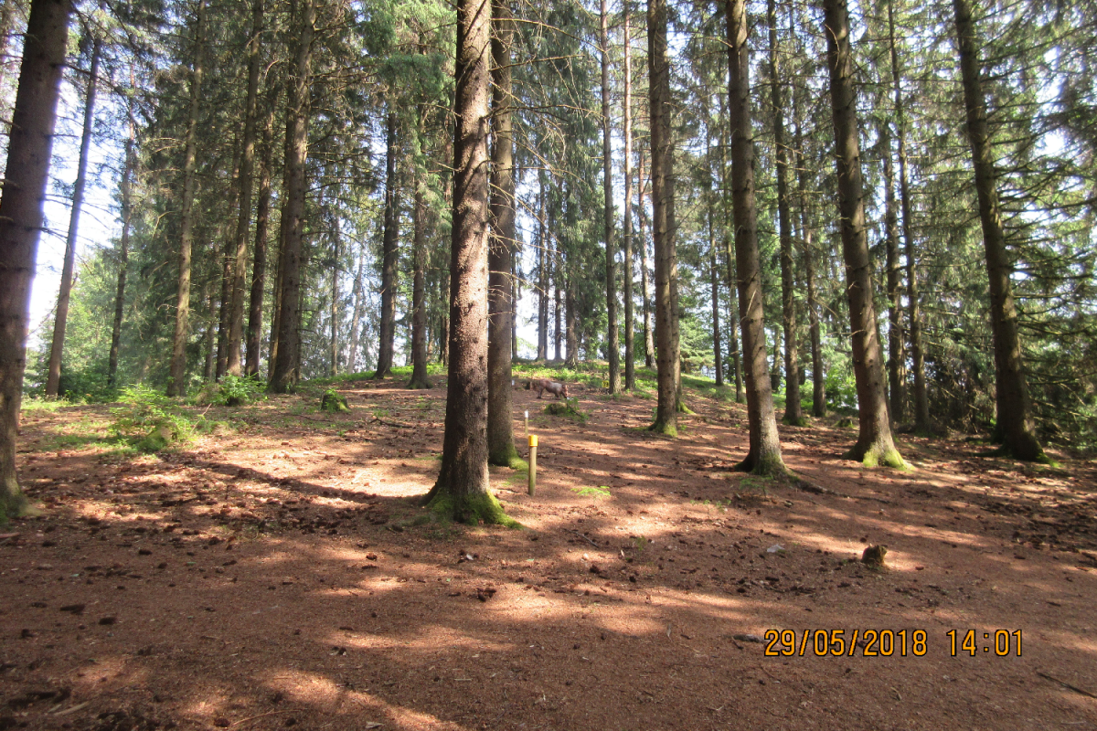 Bad Zell (43)
