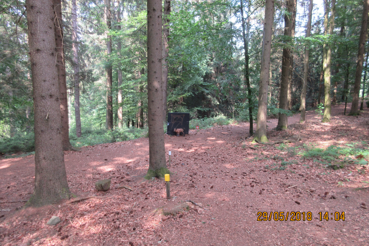 Bad Zell (45)
