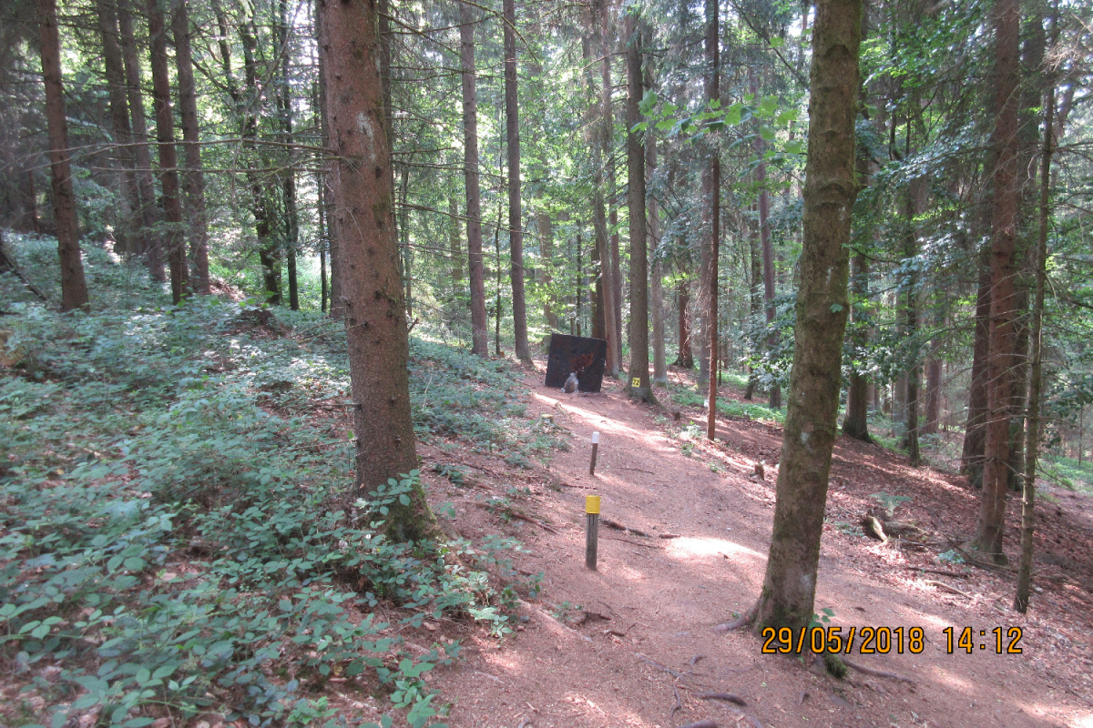 Bad Zell (49)