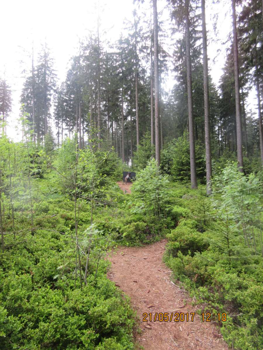 Breitenstein (48)