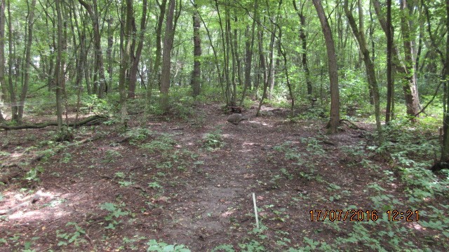 Grafenwald (14)