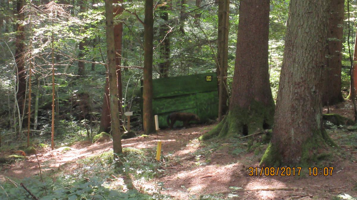 Granitland (31)