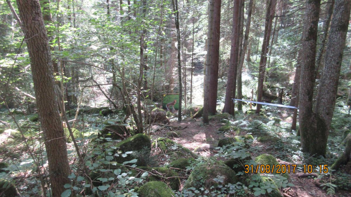 Granitland (34)