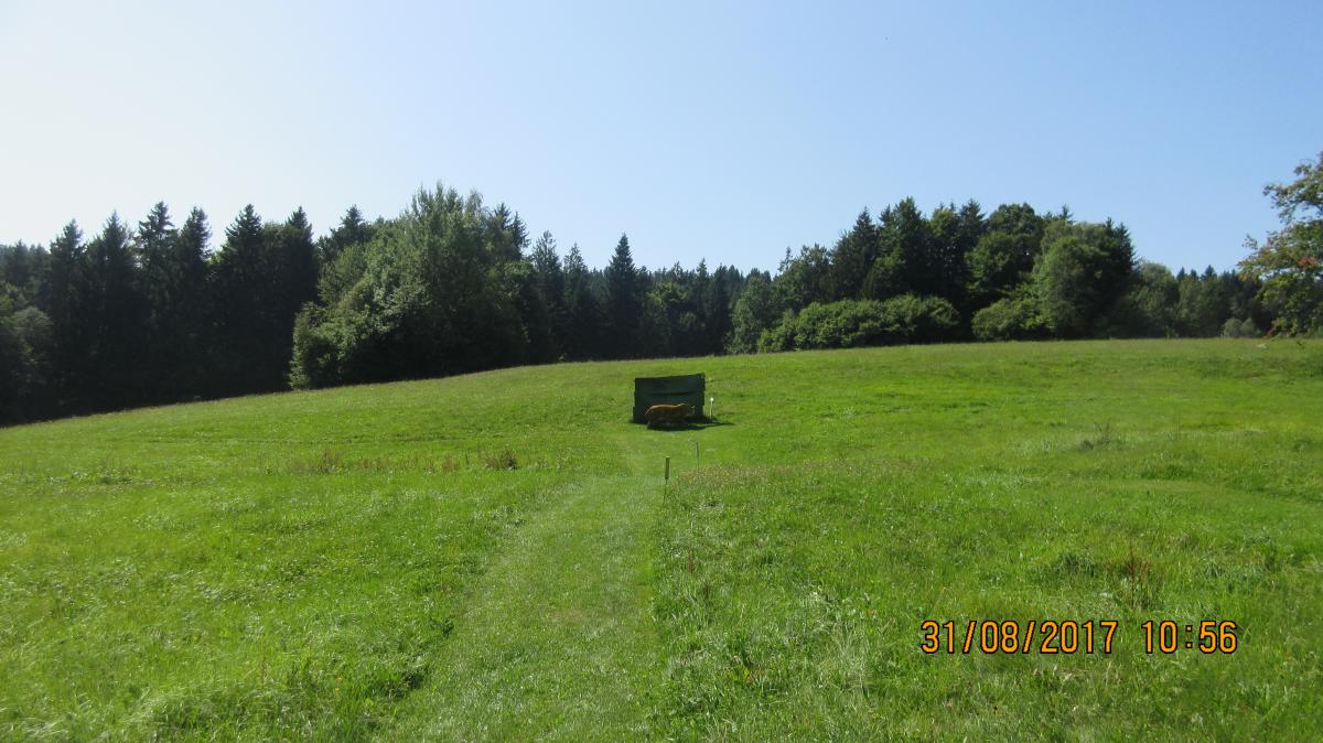Granitland (58)