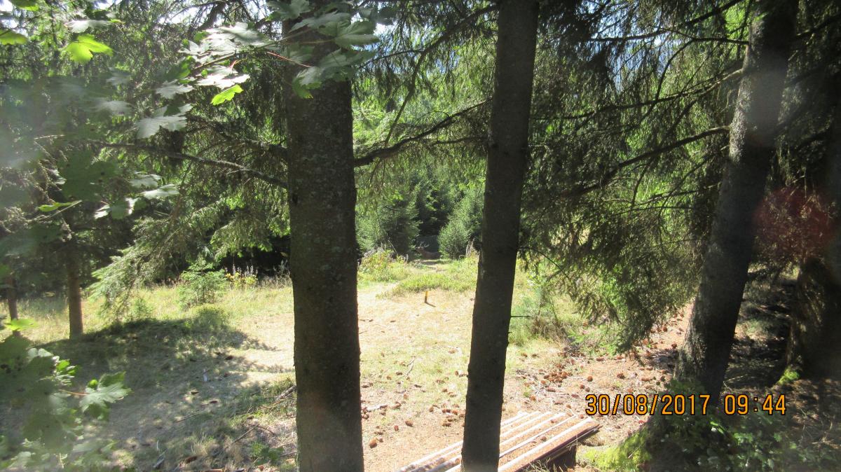 Harmanschlag (31)