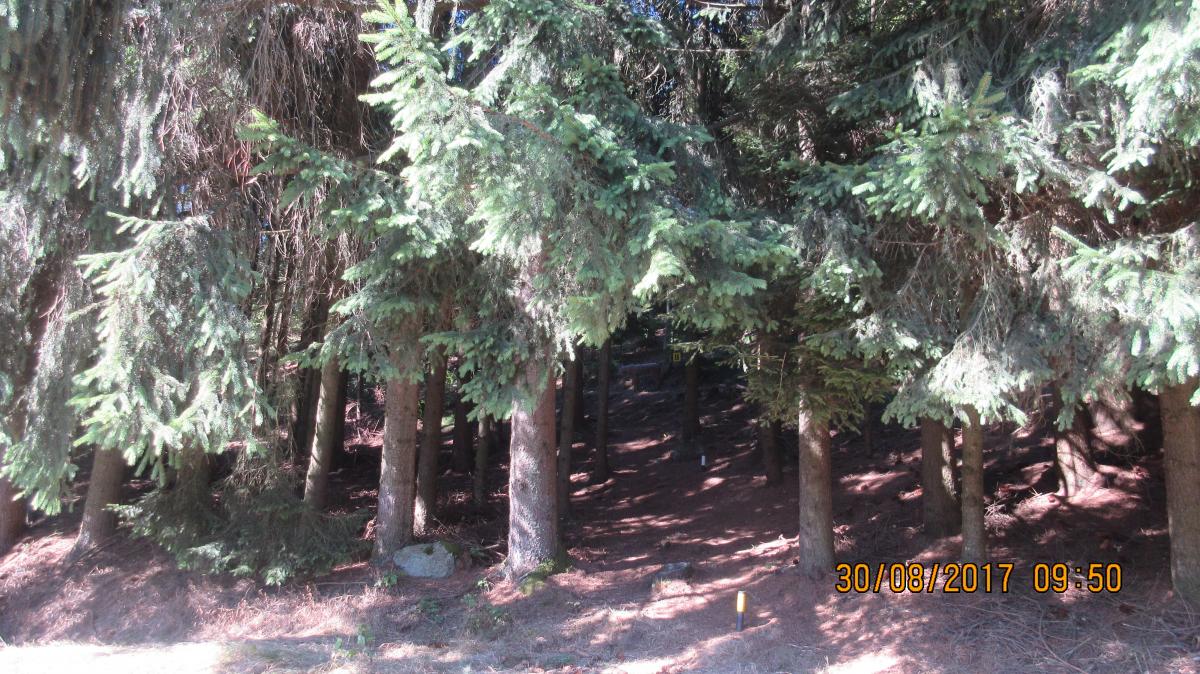 Harmanschlag (35)