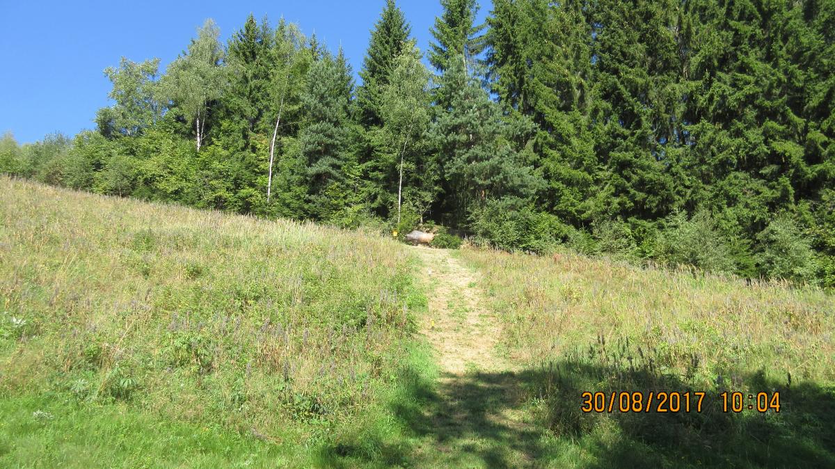 Harmanschlag (44)