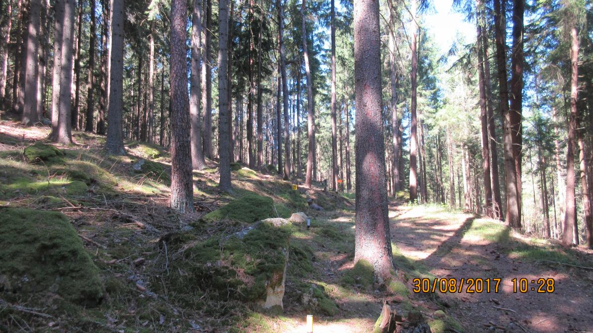 Harmanschlag (54)