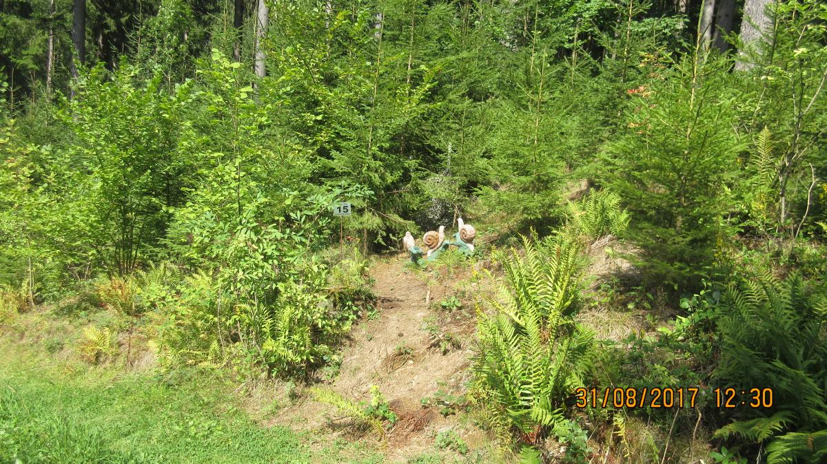 Helfenberg (36)