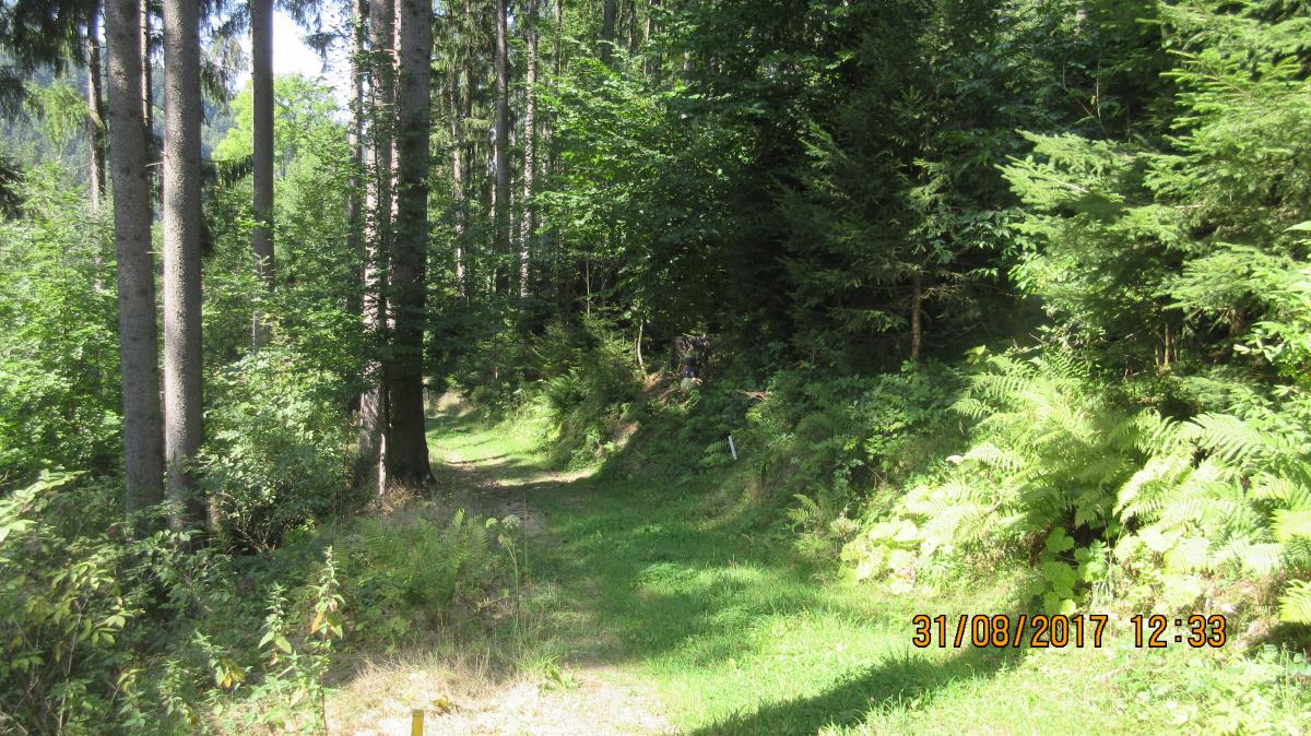 Helfenberg (38)