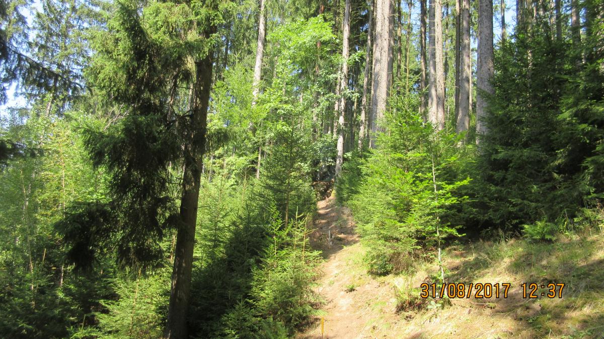 Helfenberg (40)