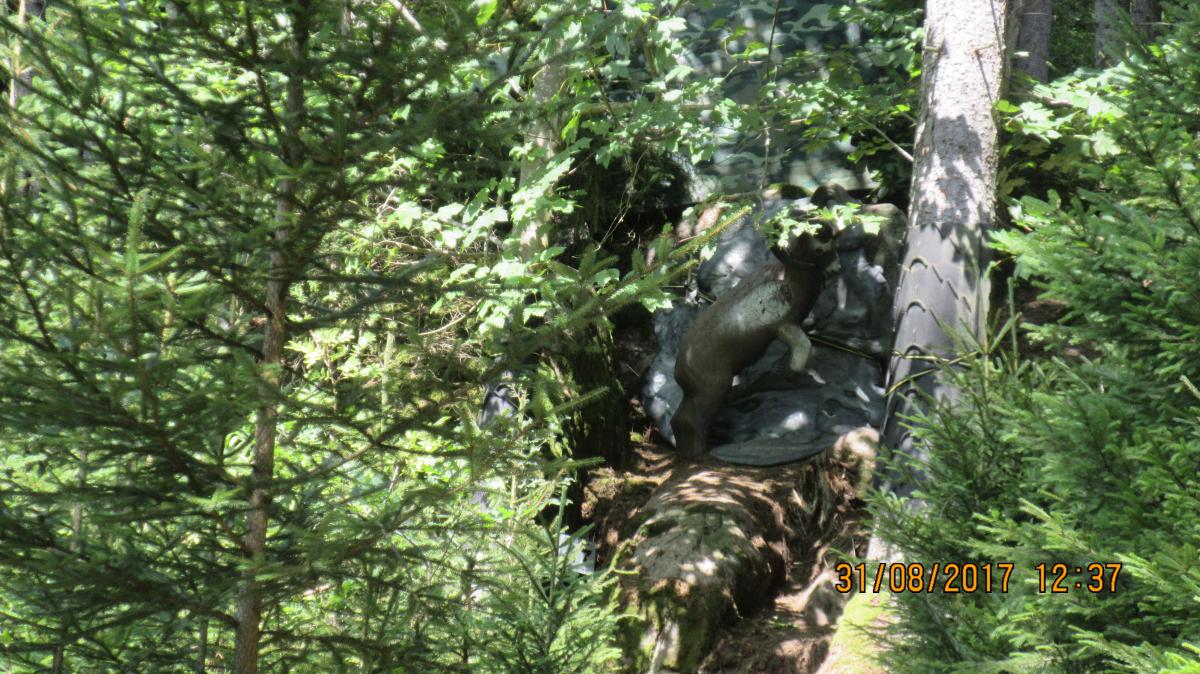 Helfenberg (41)