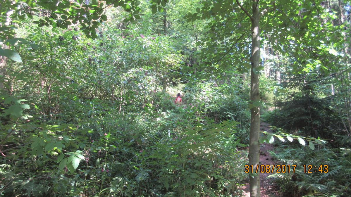 Helfenberg (42)