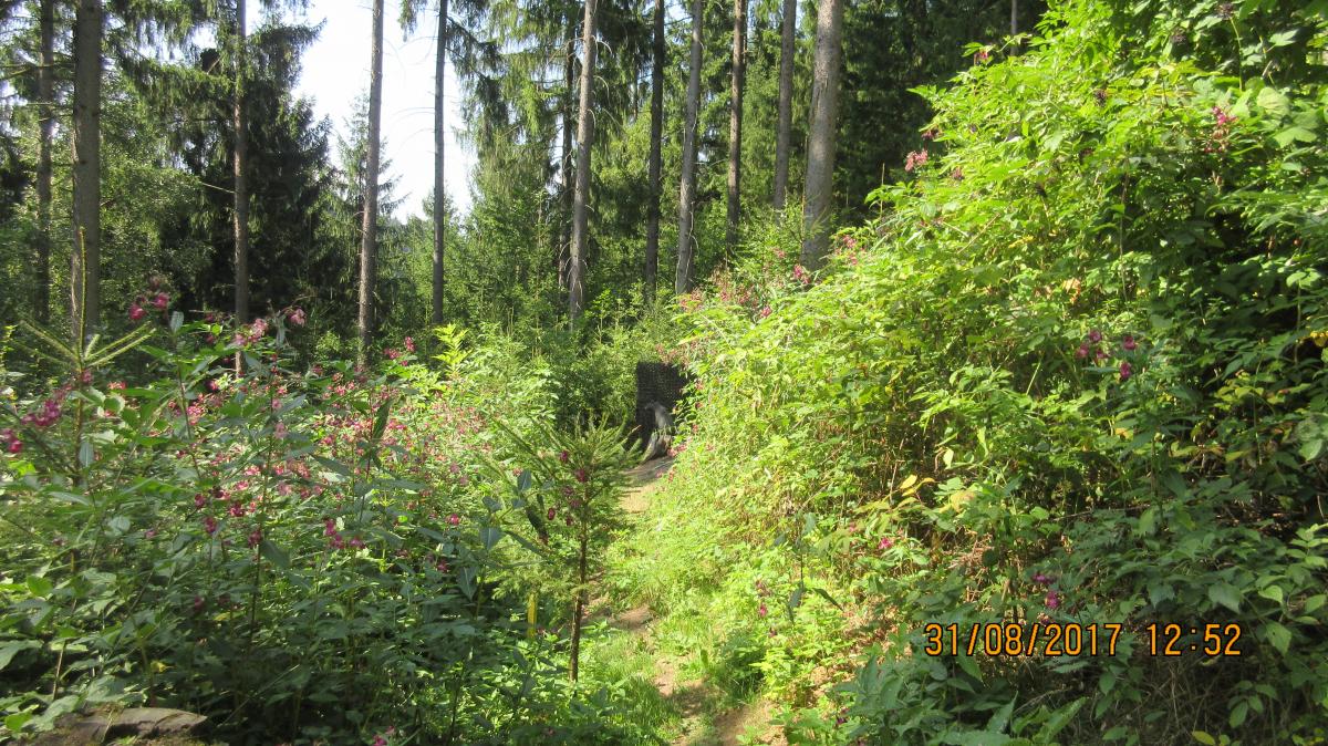 Helfenberg (46)