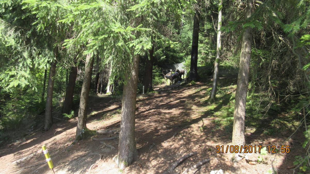 Helfenberg (48)