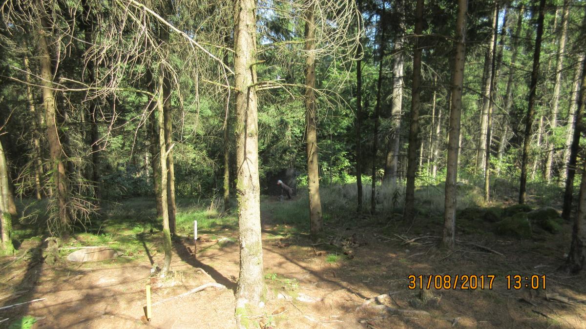 Helfenberg (50)