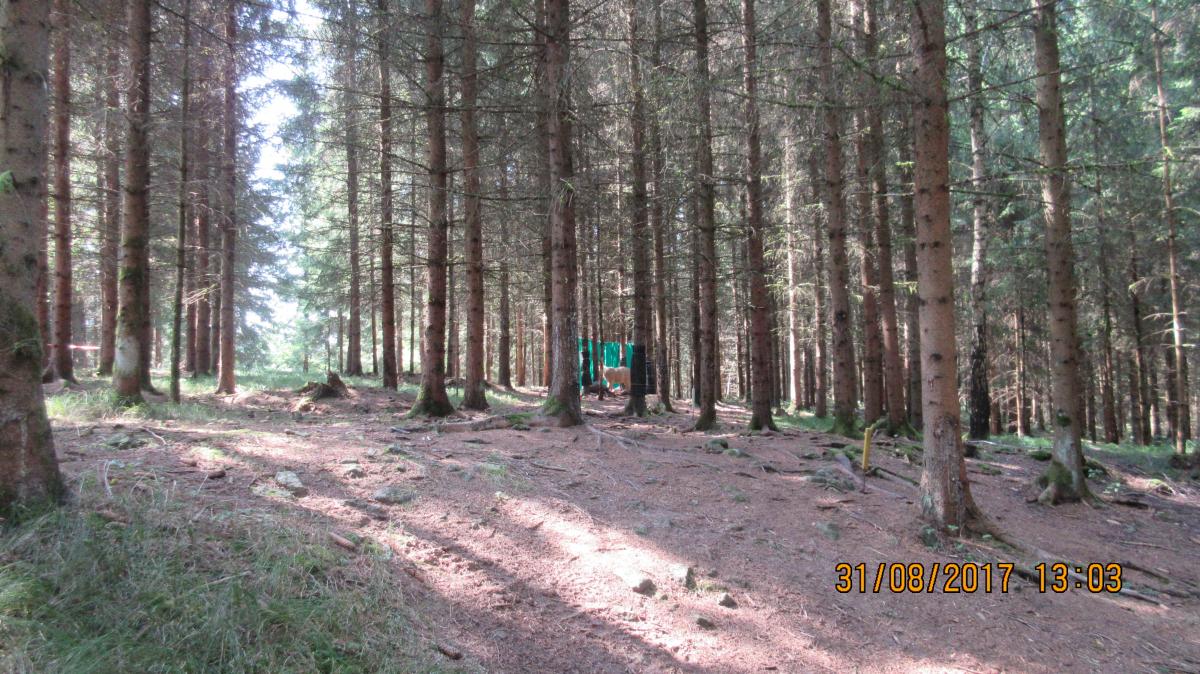 Helfenberg (52)