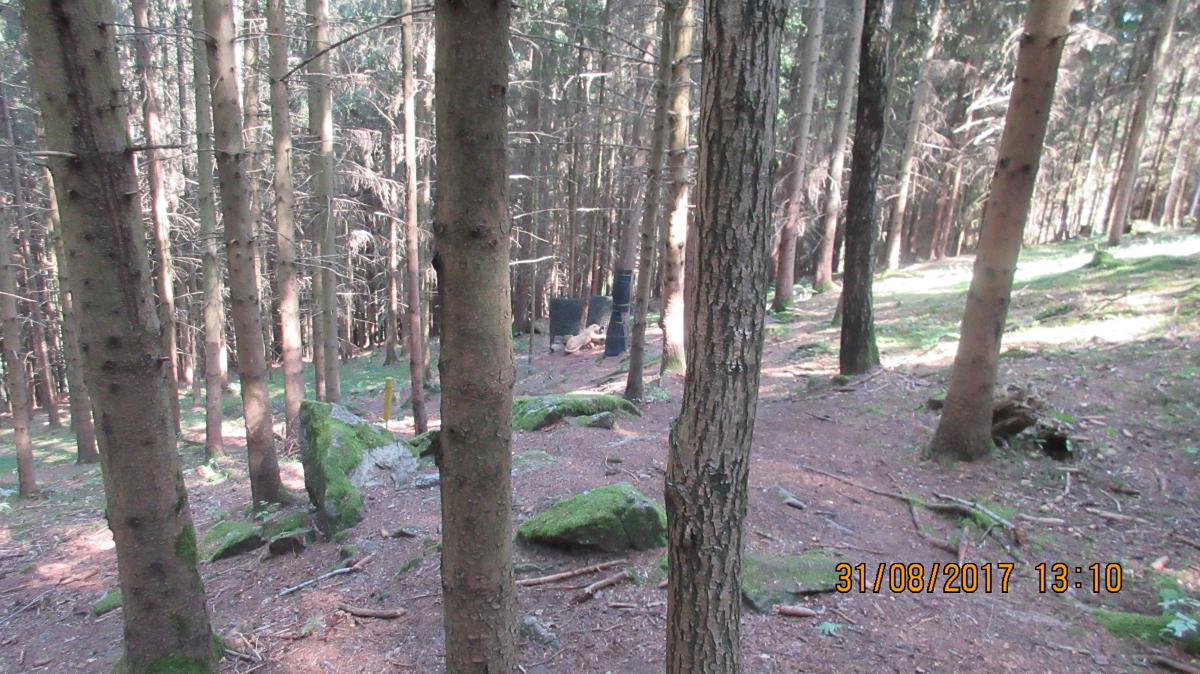 Helfenberg (54)