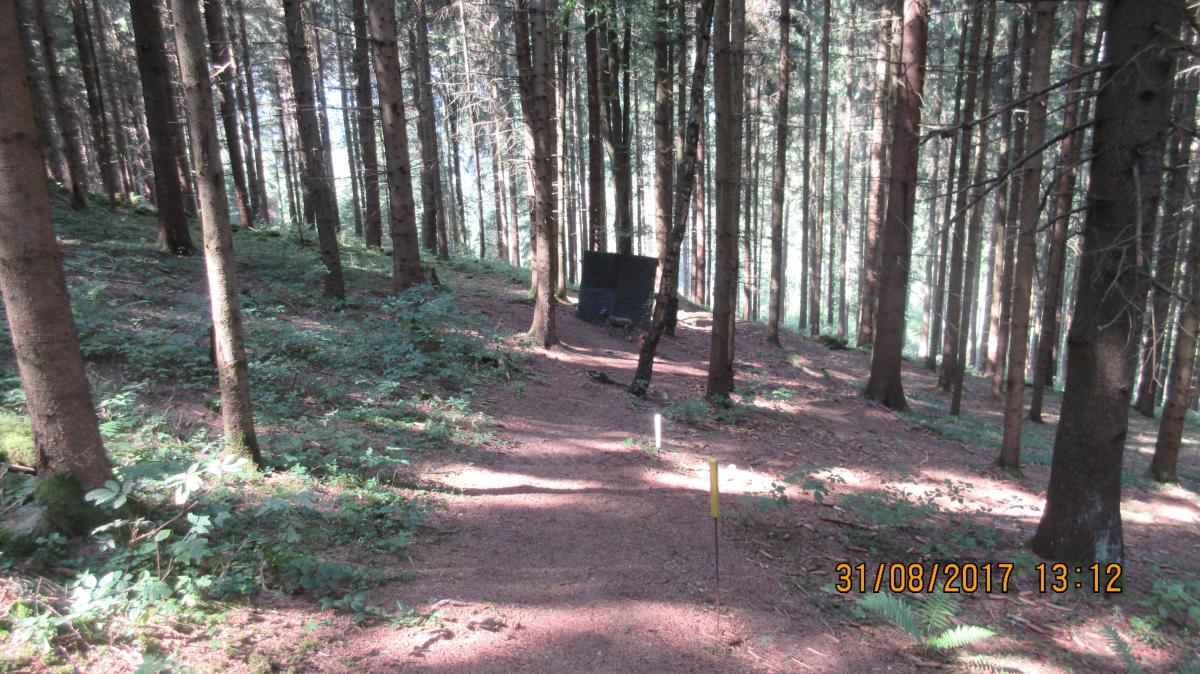 Helfenberg (56)