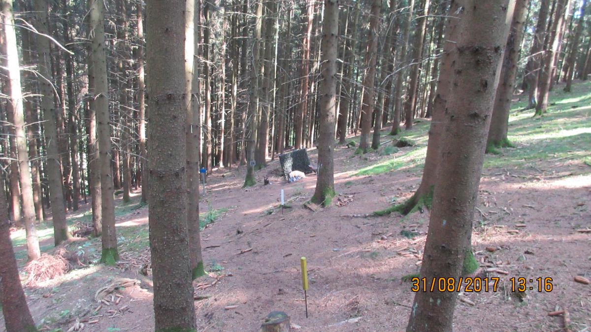 Helfenberg (58)