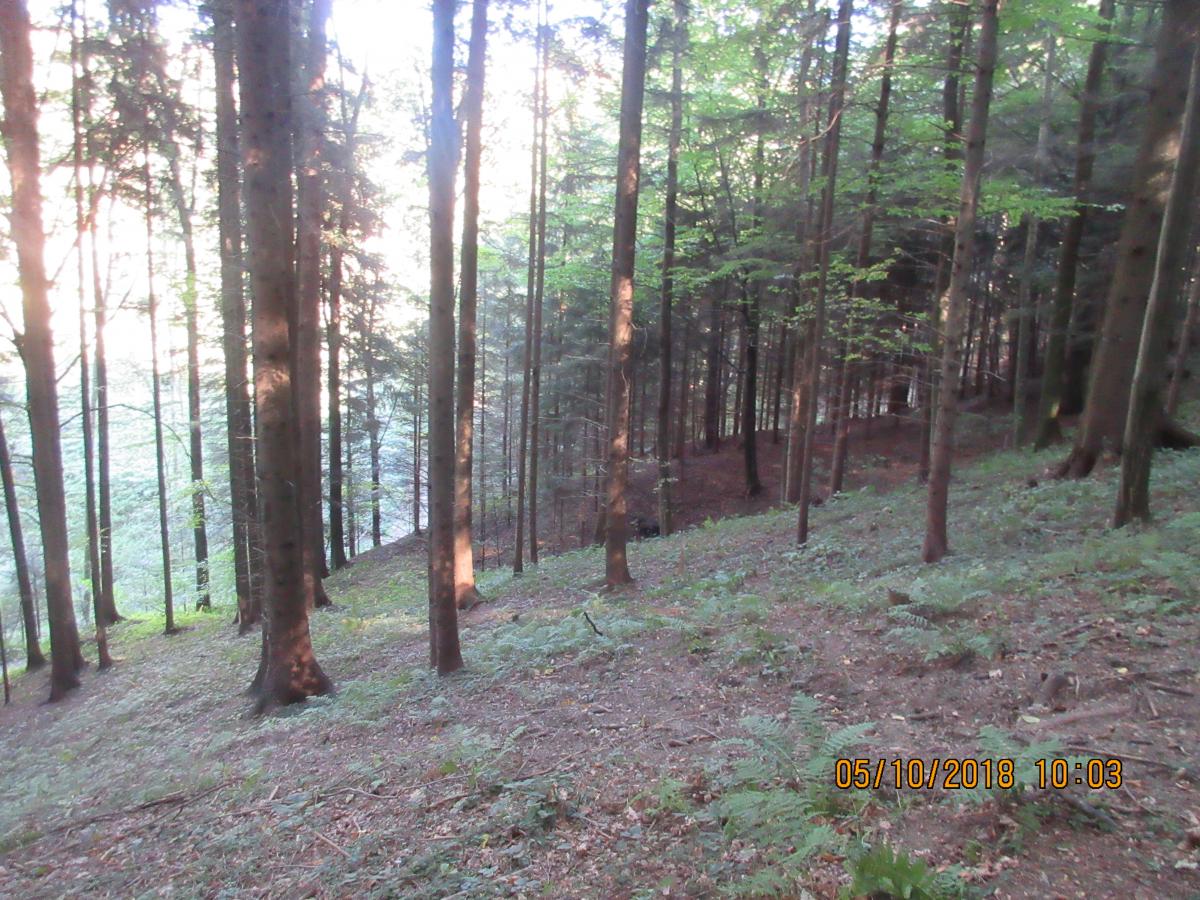 In der Pampas (48)
