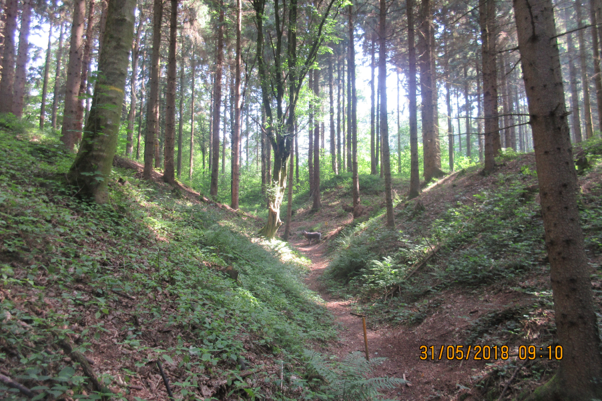 Klamschzlucht (32)