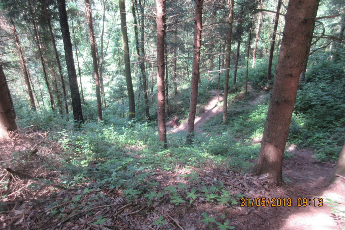 Klamschzlucht (34)