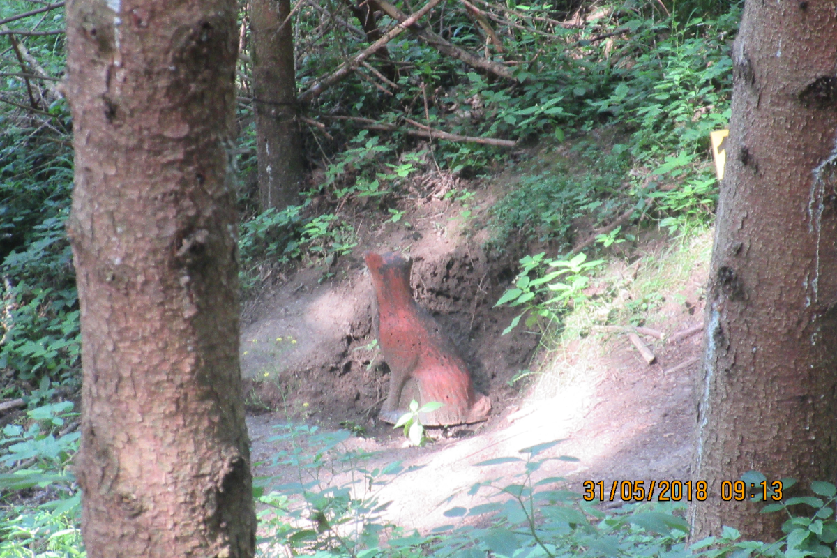 Klamschzlucht (35)