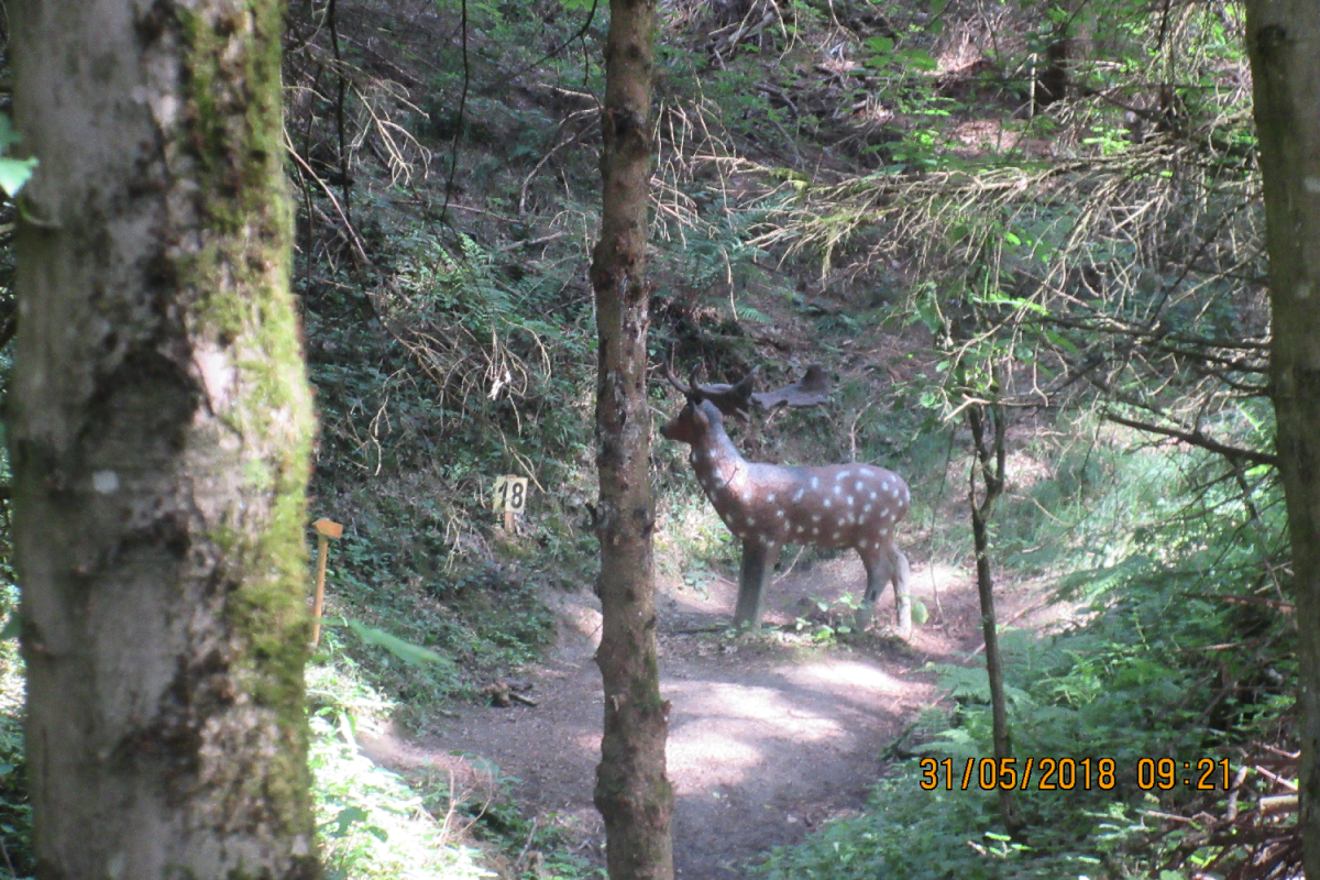 Klamschzlucht (39)