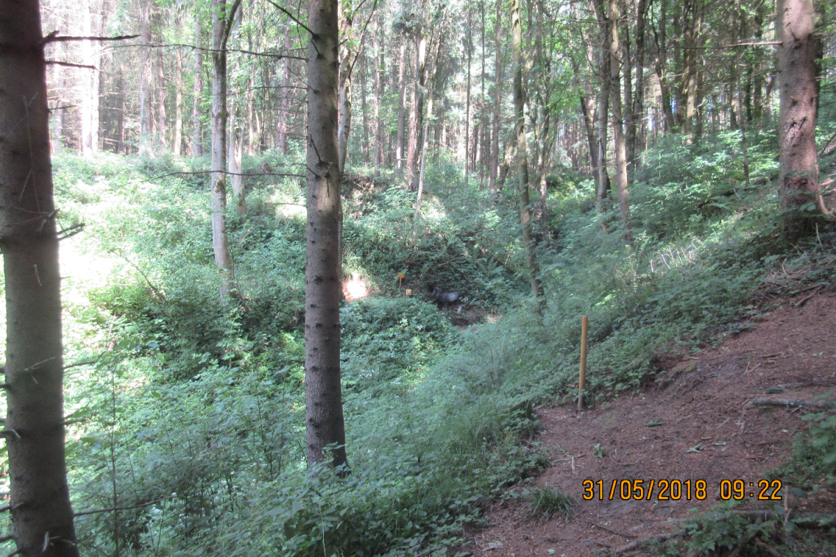 Klamschzlucht (40)