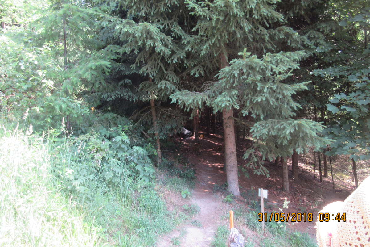 Klamschzlucht (55)