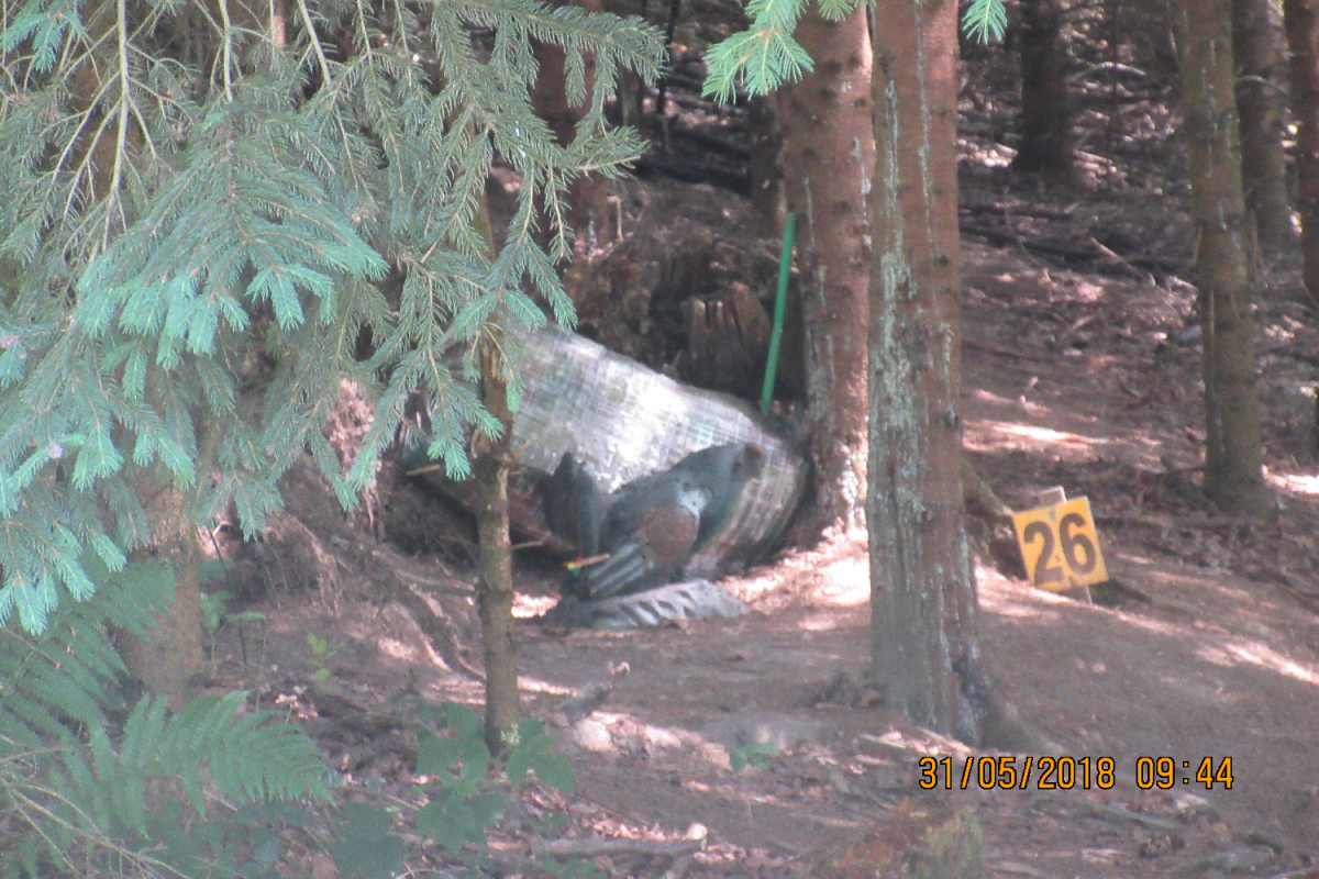Klamschzlucht (56)