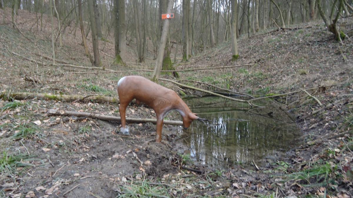 Kreuttal (14)