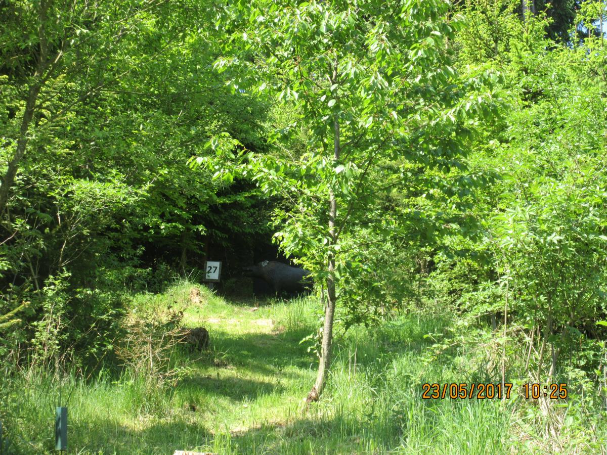 Mönichdorf (67)