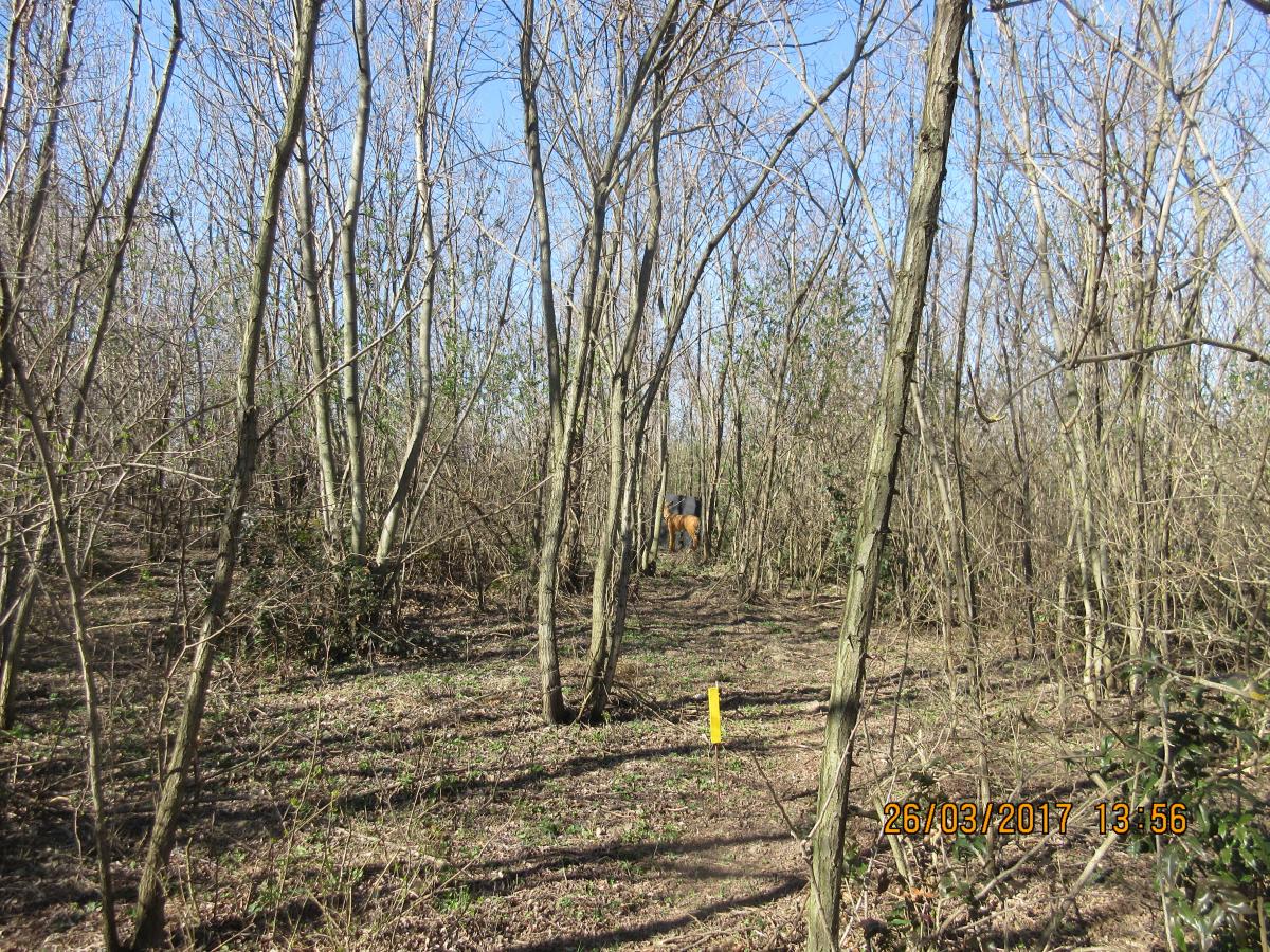 Nicklsdorf (36)