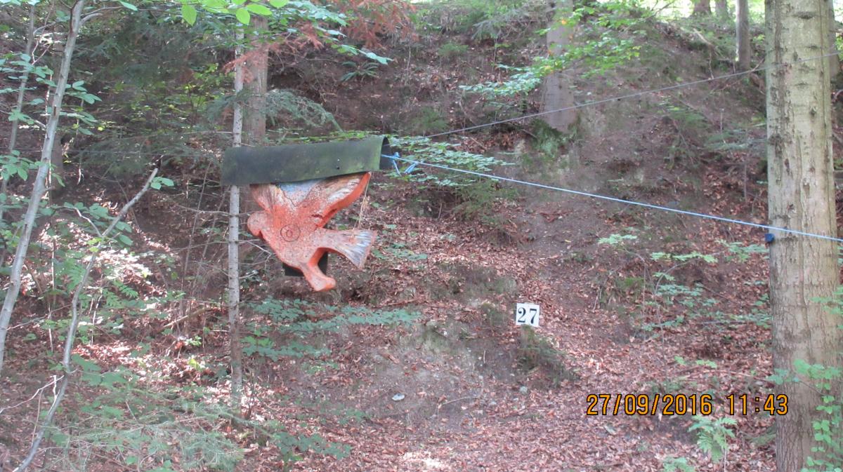 Reichenau (46)