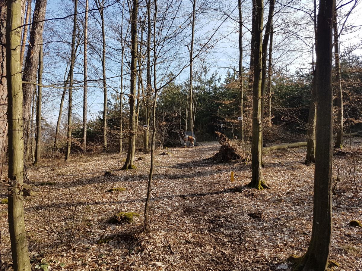 Rosenburg (57)