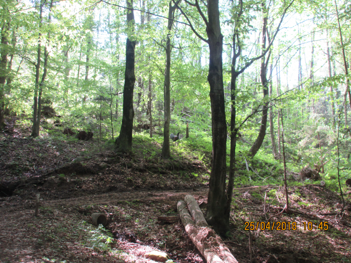 Siebernegg (40)