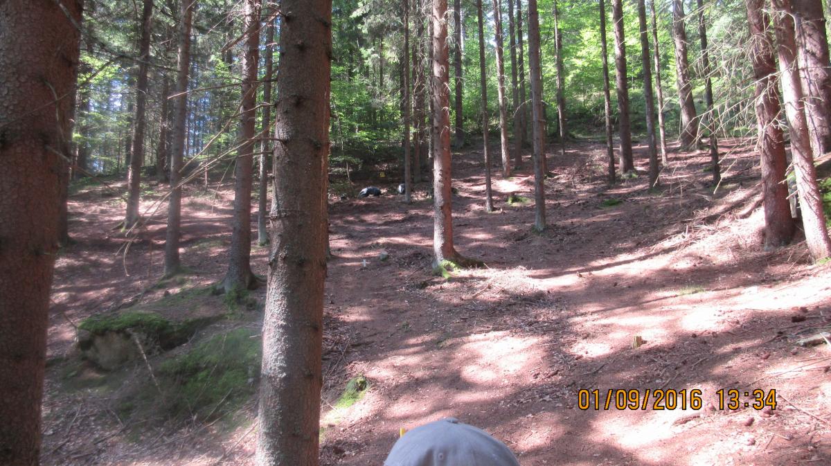 Stoneface (41)