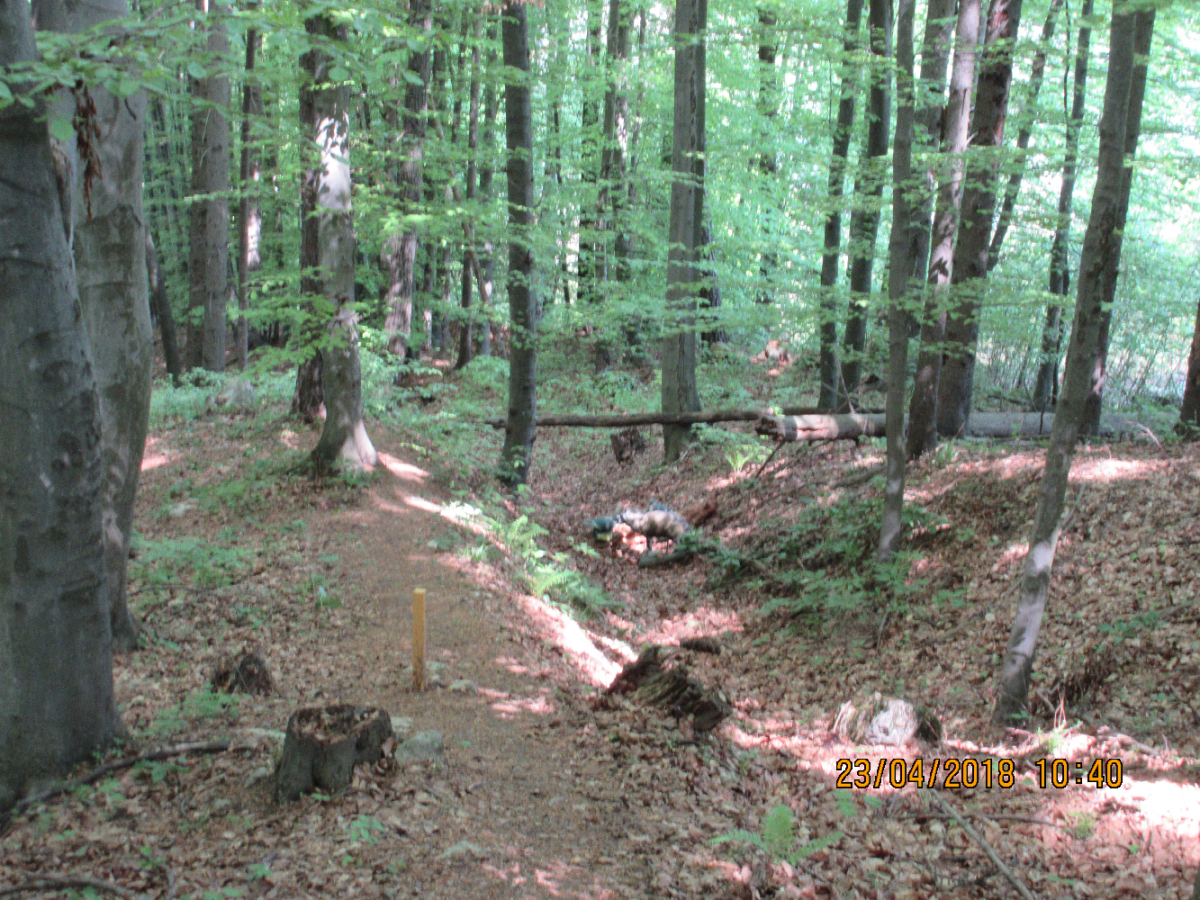 Styrian Archerie (31)