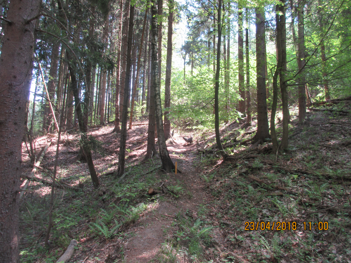 Styrian Archerie (39)