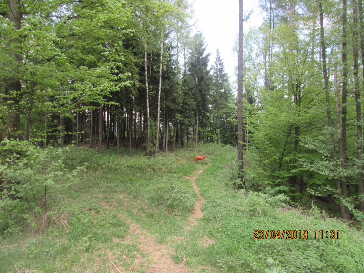 Styrian Archerie (54)