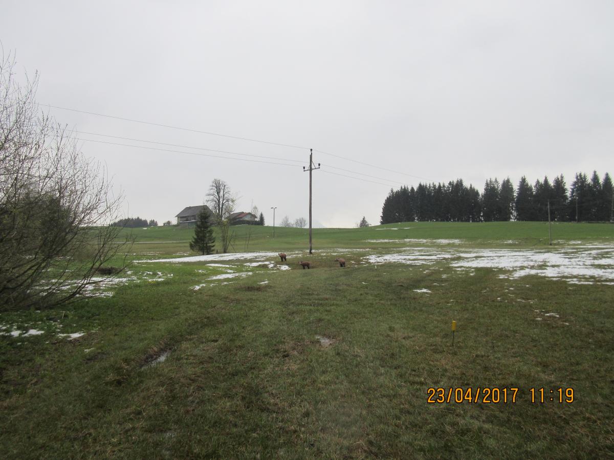 Talagova (52)