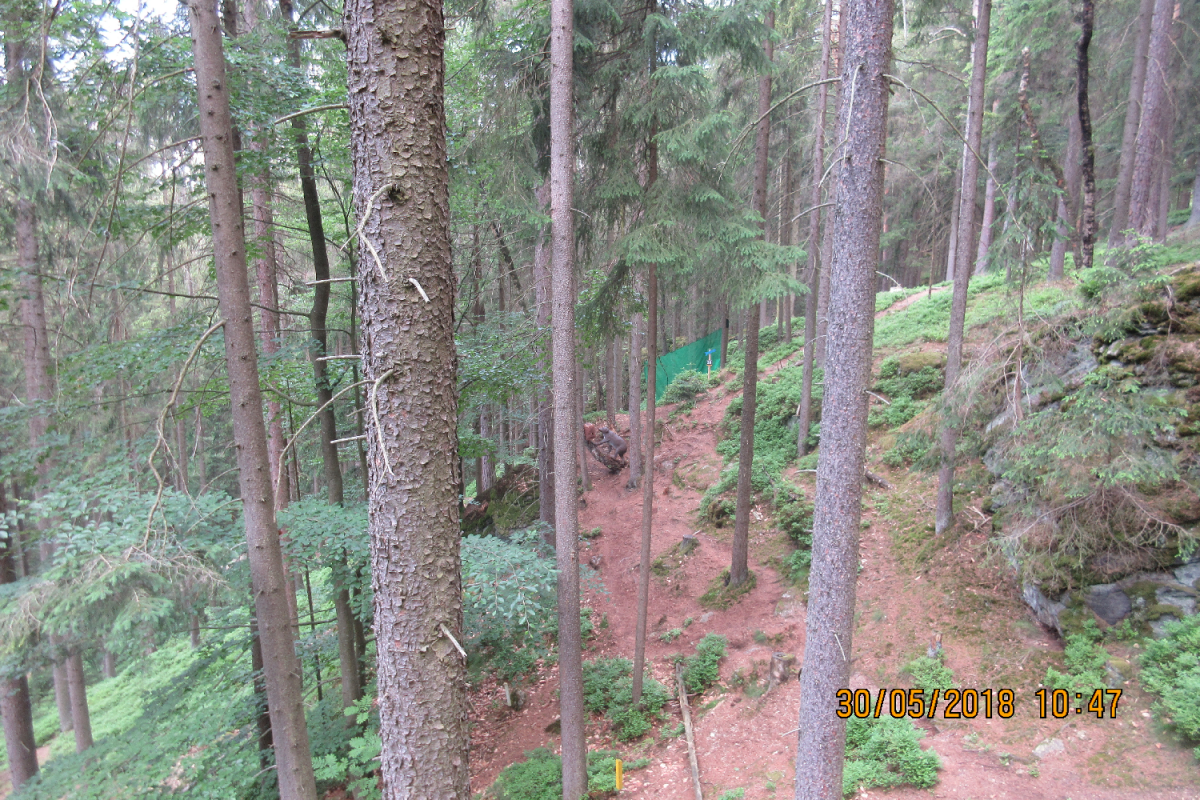 Waldenfels (59)