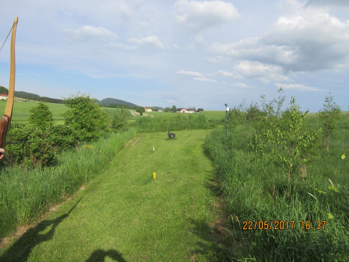 Walhalla Fun (46)