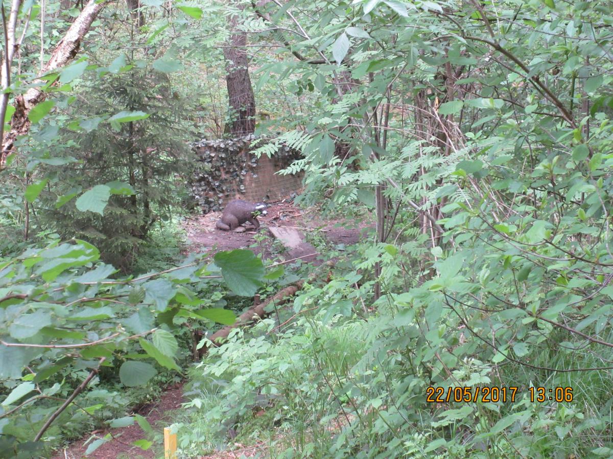 Walhalla Turnier (37)