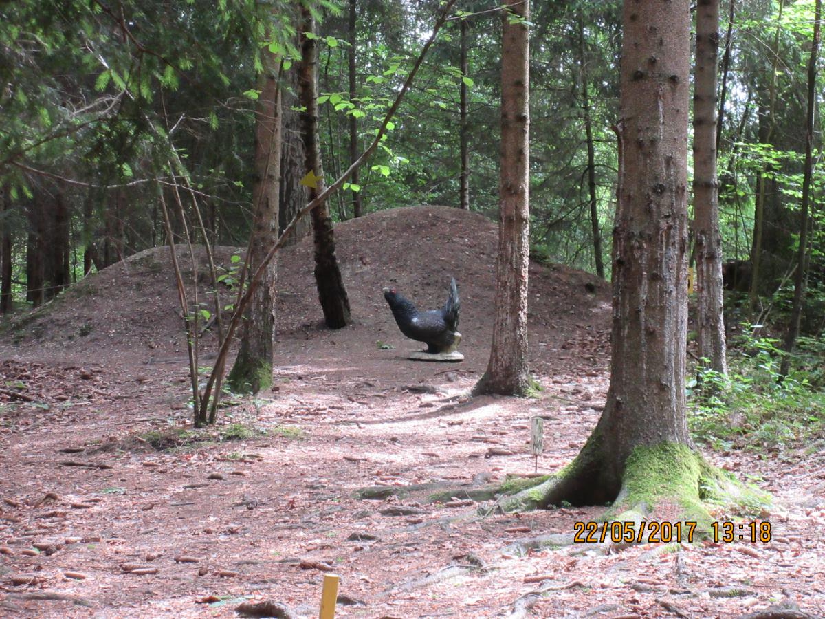 Walhalla Turnier (42)
